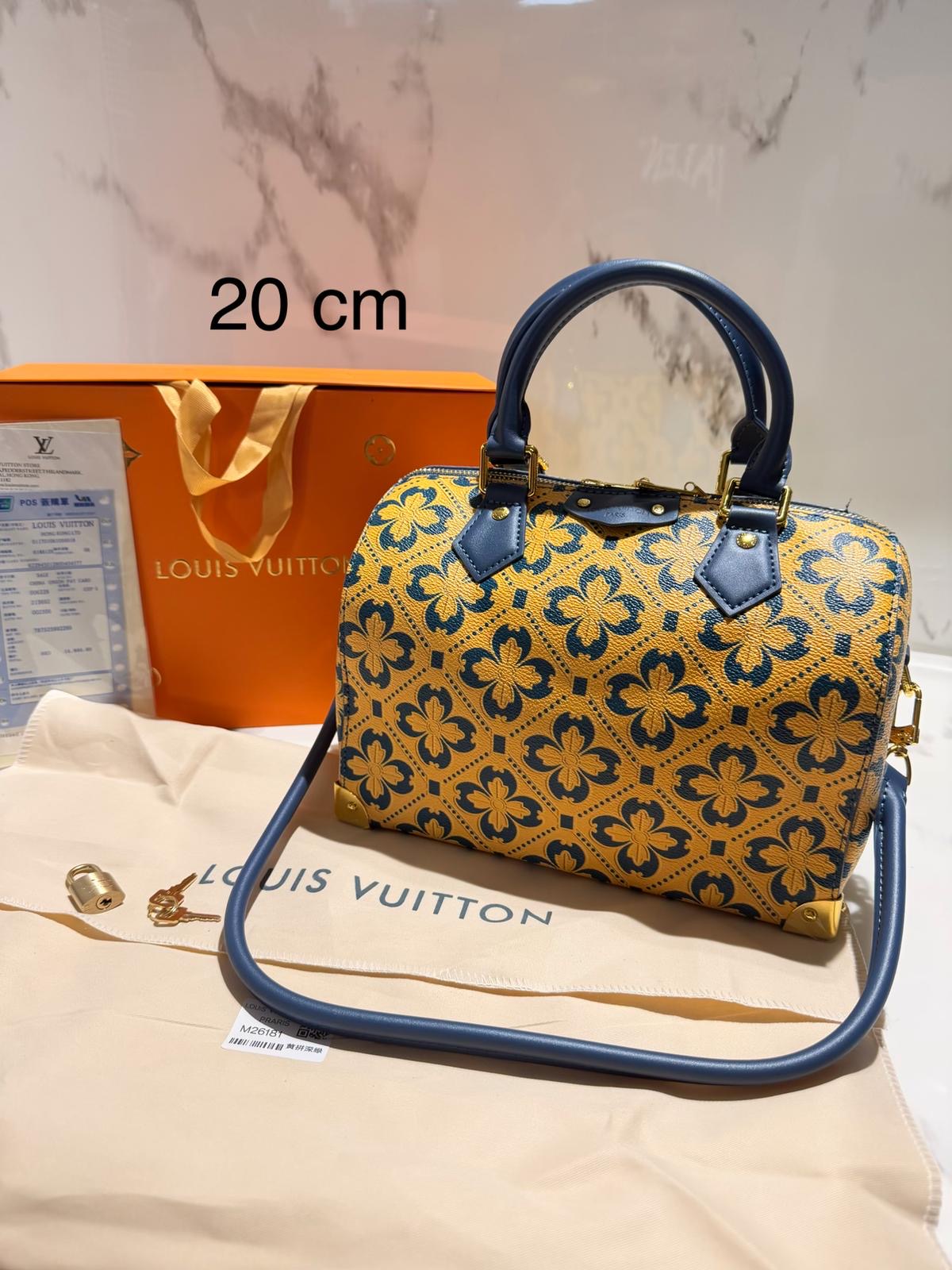 BORSA LOUIS VUITTON