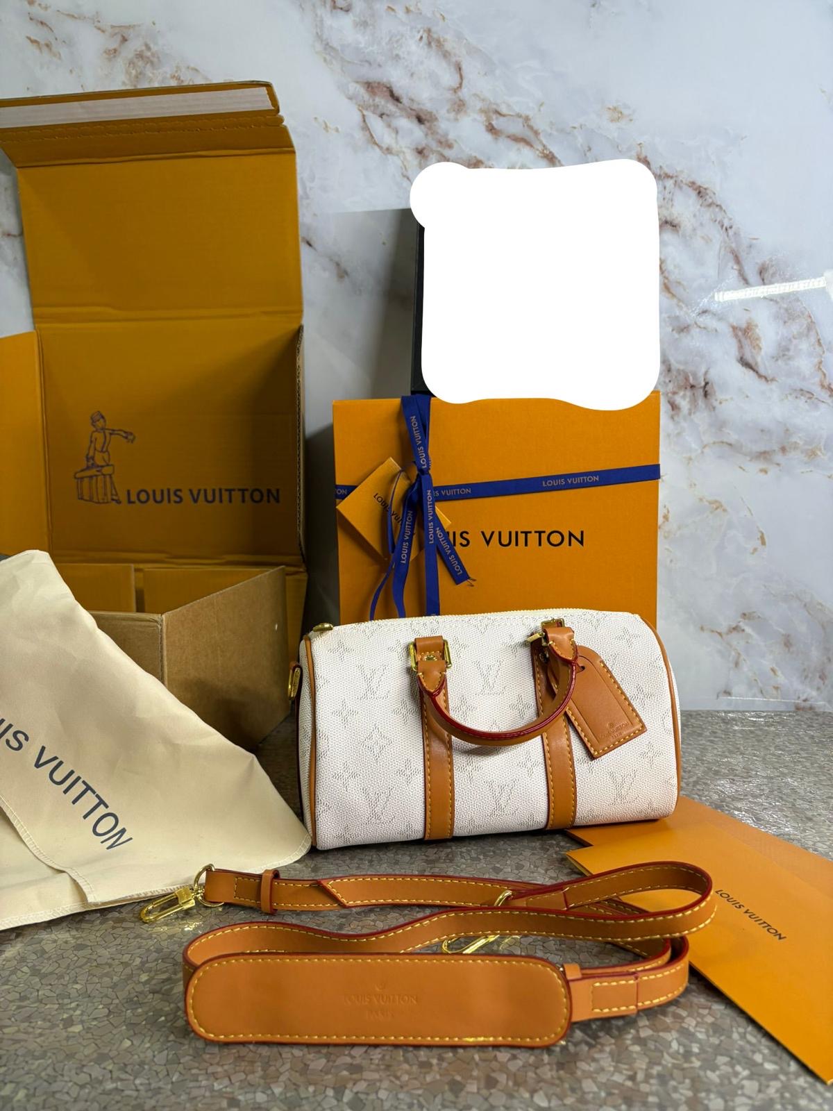 Louis vuitton Borse